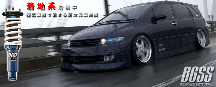 BGSS
